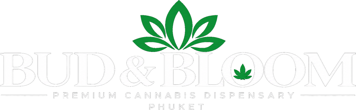 Bud & Bloom Premium Cannabis Dispensary Phuket