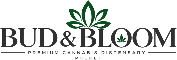 Bud & Bloom Premium Cannabis Dispensary Phuket