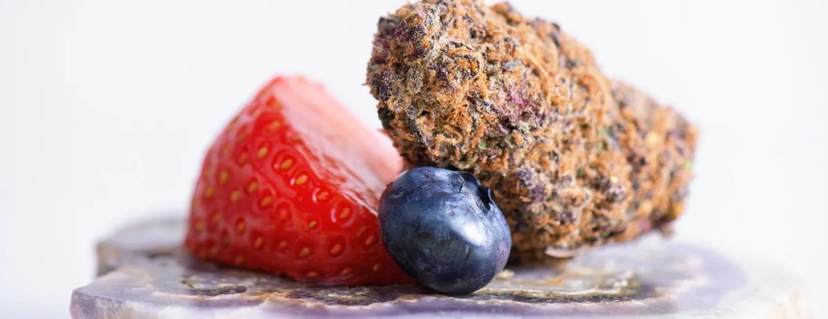 Cannabis flower with strawberry and blueberry at Bud & Bloom Phuket