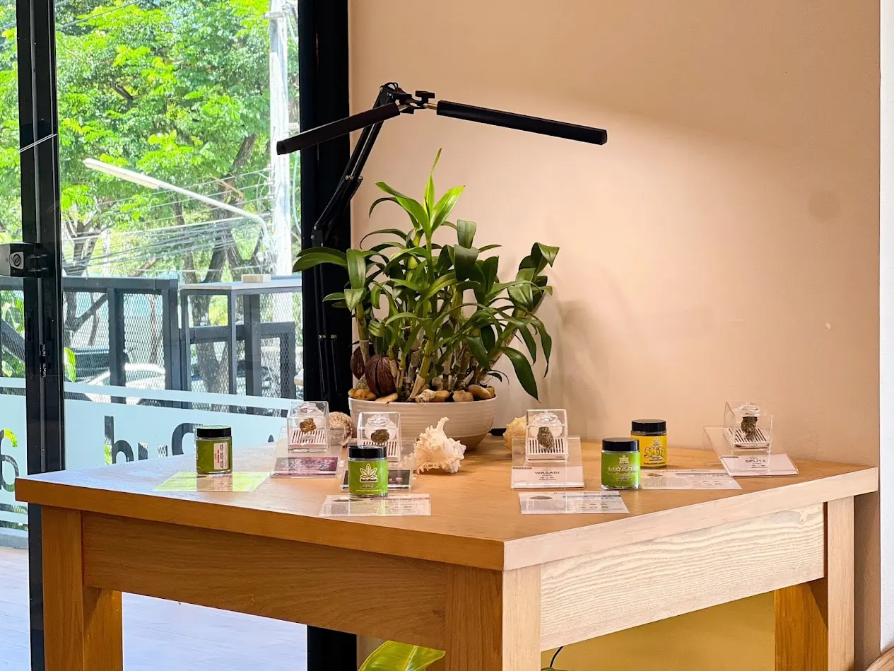 การจัดแสดงสายพันธุ์กัญชาคัดสรรภายใน Bud & Bloom Boat Avenue