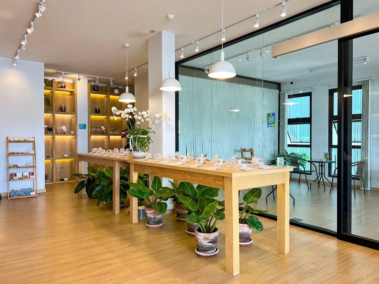 Bud & Bloom dispensary interior at Boat Avenue Phuket