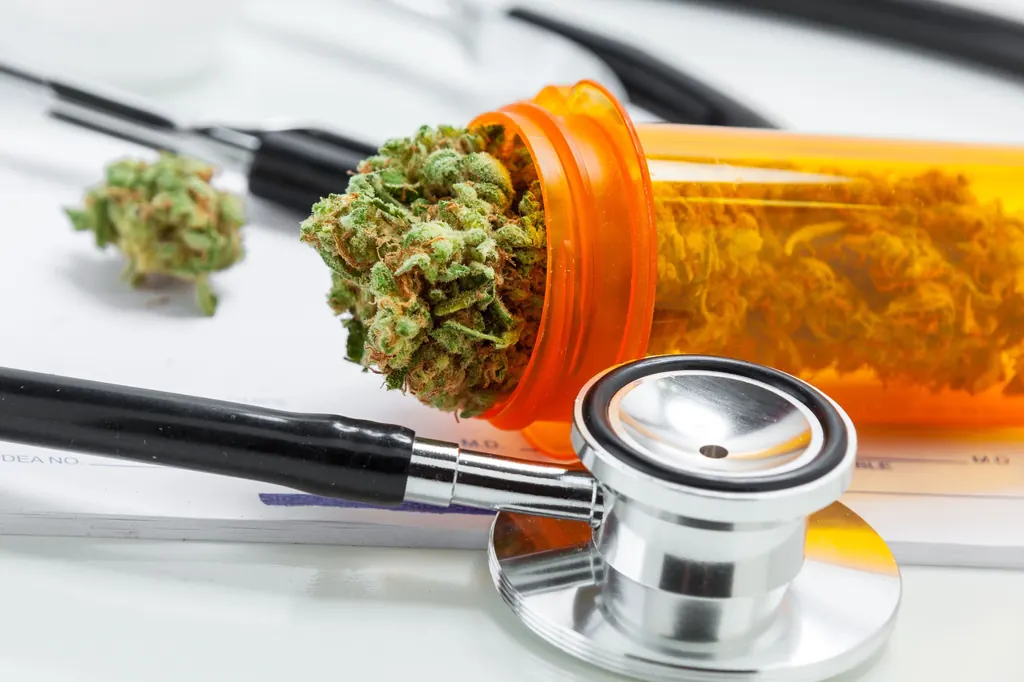 Cannabis flower with clinical stethoscope