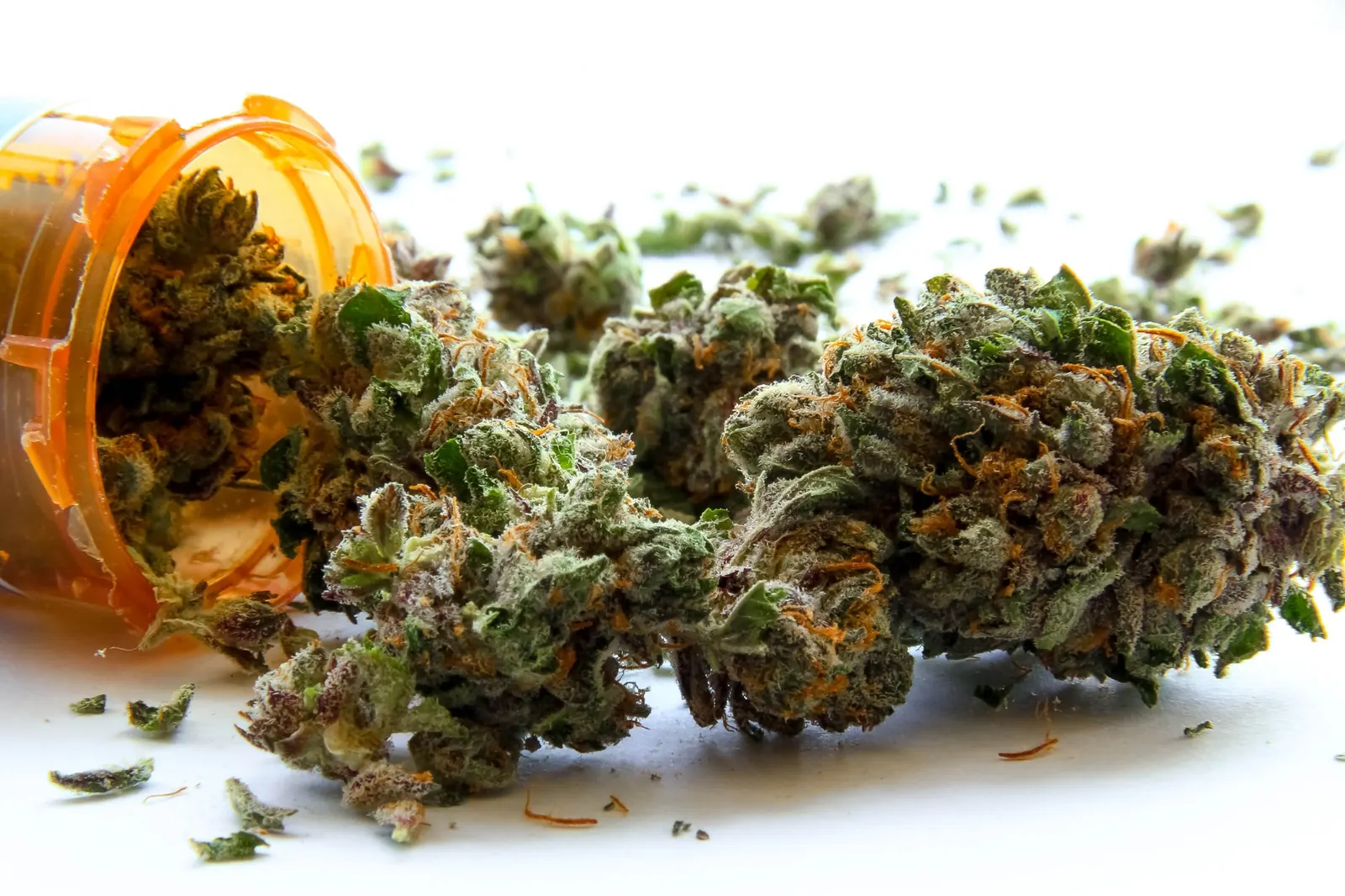 Cannabis flower detail